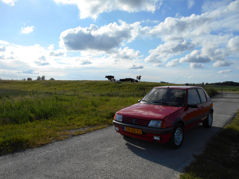 Illustration for article titled While photographing a car... (updated pictures)
